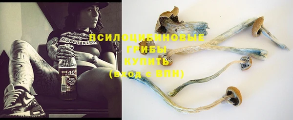 героин Богданович