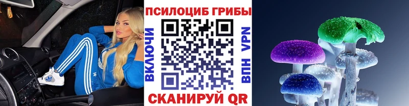 Галлюциногенные грибы Cubensis кракен tor Ялуторовск